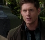 SPN_1463.jpg