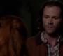SPN_1468.jpg