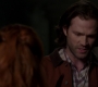 SPN_1469.jpg