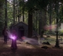 SPN_1584.jpg