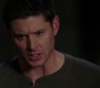 Filename=SPN_1708.jpg
Filesize=65KiB
Dimensions=1912x1072
Date added=Sep 30, 2021 SPN_1708.jpg