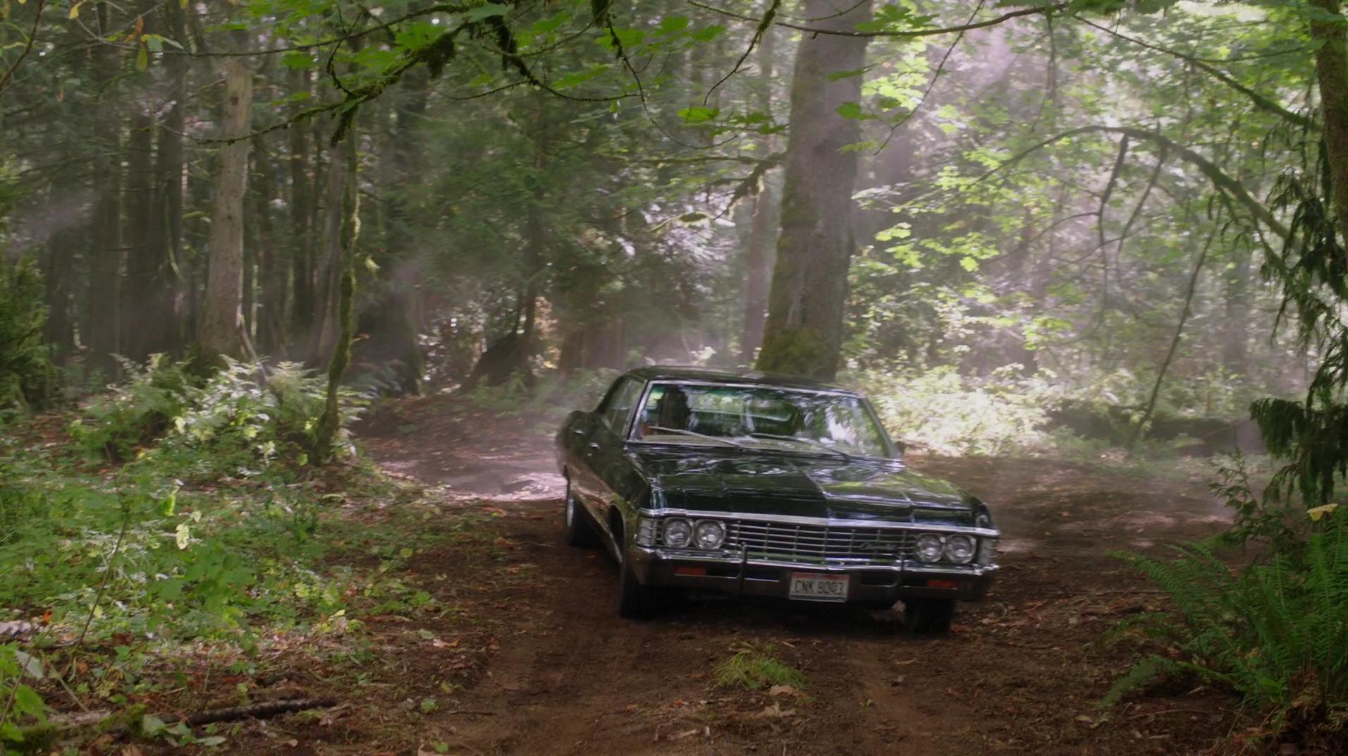 SPN_0576.jpg