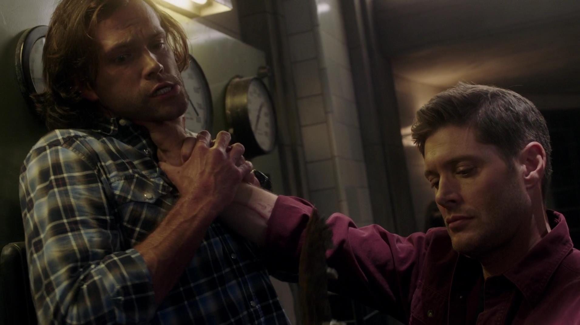 SPN_1379.jpg