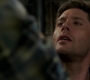 SPN_1376.jpg