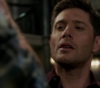 SPN_1377.jpg