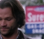 SPN_0421.jpg