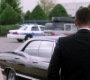 SPN_0285.jpg