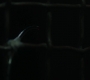 SPN_1455.jpg