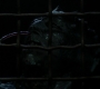 SPN_1464.jpg