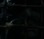 SPN_1498.jpg