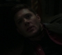 SPN_1509.jpg