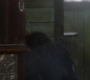 SPN_1559.jpg