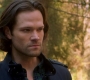 SPN_1411.jpg
