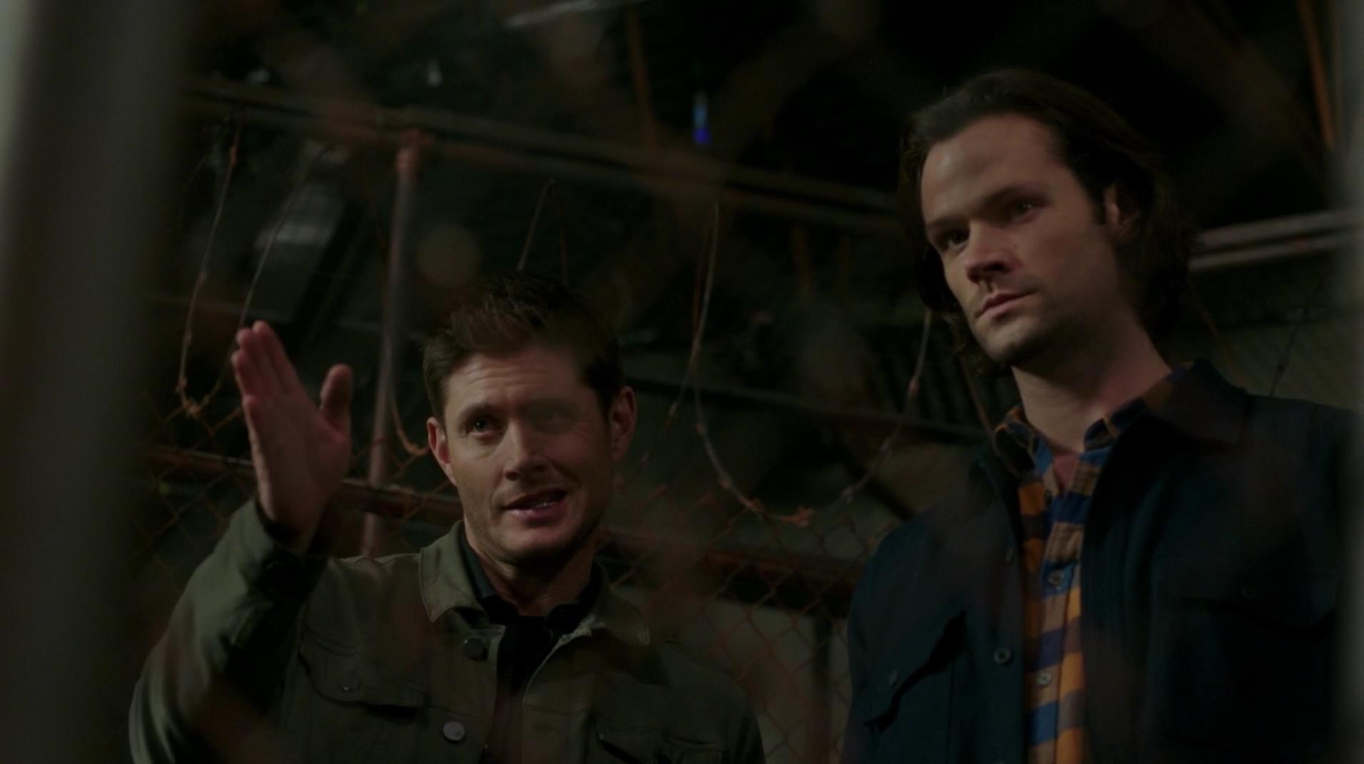 SPN_1449.jpg