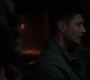 SPN_0407.jpg