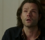 SPN_0769.jpg