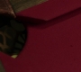 SPN_1339.jpg