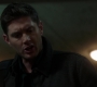 Filename=SPN_1768.jpg
Filesize=63KiB
Dimensions=1912x1072
Date added=Sep 30, 2021 SPN_1768.jpg