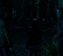 SPN_1346.jpg