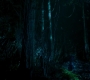 SPN_1379.jpg