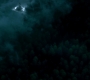 SPN_1380.jpg