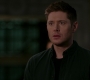 SPN_1503.jpg