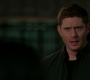 SPN_1515.jpg