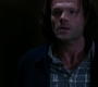 SPN_1733.jpg