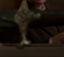 SPN_0131.jpg