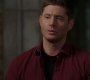 SPN_0218.jpg