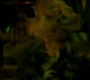 SPN_0258.jpg