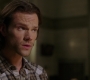 SPN_0337.jpg