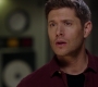 SPN_0338.jpg