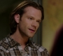 SPN_0350.jpg