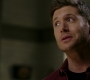 SPN_0355.jpg
