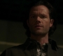 Filename=SPN_0514.jpg
Filesize=79KiB
Dimensions=1912x1072
Date added=Sep 30, 2021 SPN_0514.jpg