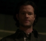 Filename=SPN_0521.jpg
Filesize=88KiB
Dimensions=1912x1072
Date added=Sep 30, 2021 SPN_0521.jpg