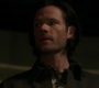 Filename=SPN_0522.jpg
Filesize=76KiB
Dimensions=1912x1072
Date added=Sep 30, 2021 SPN_0522.jpg