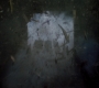 SPN_0817.jpg