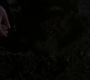 SPN_0372.jpg