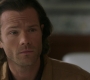 SPN_0449.jpg