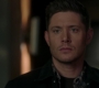 Filename=SPN_1017.jpg
Filesize=61KiB
Dimensions=1912x1072
Date added=Oct 01, 2021 SPN_1017.jpg