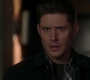 Filename=SPN_1021.jpg
Filesize=74KiB
Dimensions=1912x1072
Date added=Oct 01, 2021 SPN_1021.jpg