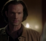 Filename=SPN_1131.jpg
Filesize=77KiB
Dimensions=1912x1072
Date added=Oct 01, 2021 SPN_1131.jpg