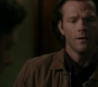 Filename=SPN_1189.jpg
Filesize=78KiB
Dimensions=1912x1072
Date added=Oct 01, 2021 SPN_1189.jpg
