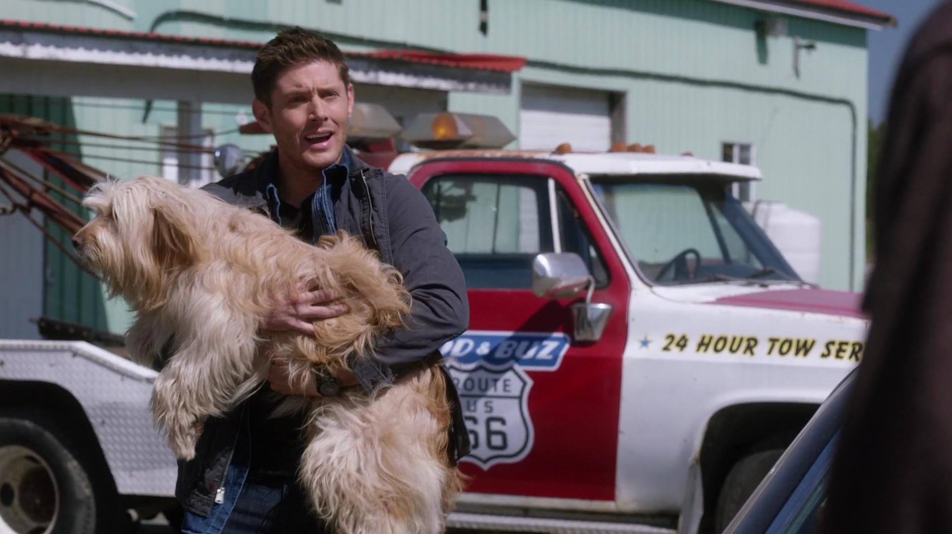 SPN_0436.jpg