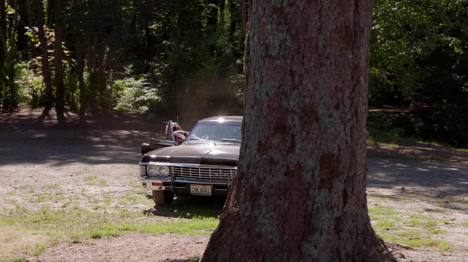 SPN_1265.jpg