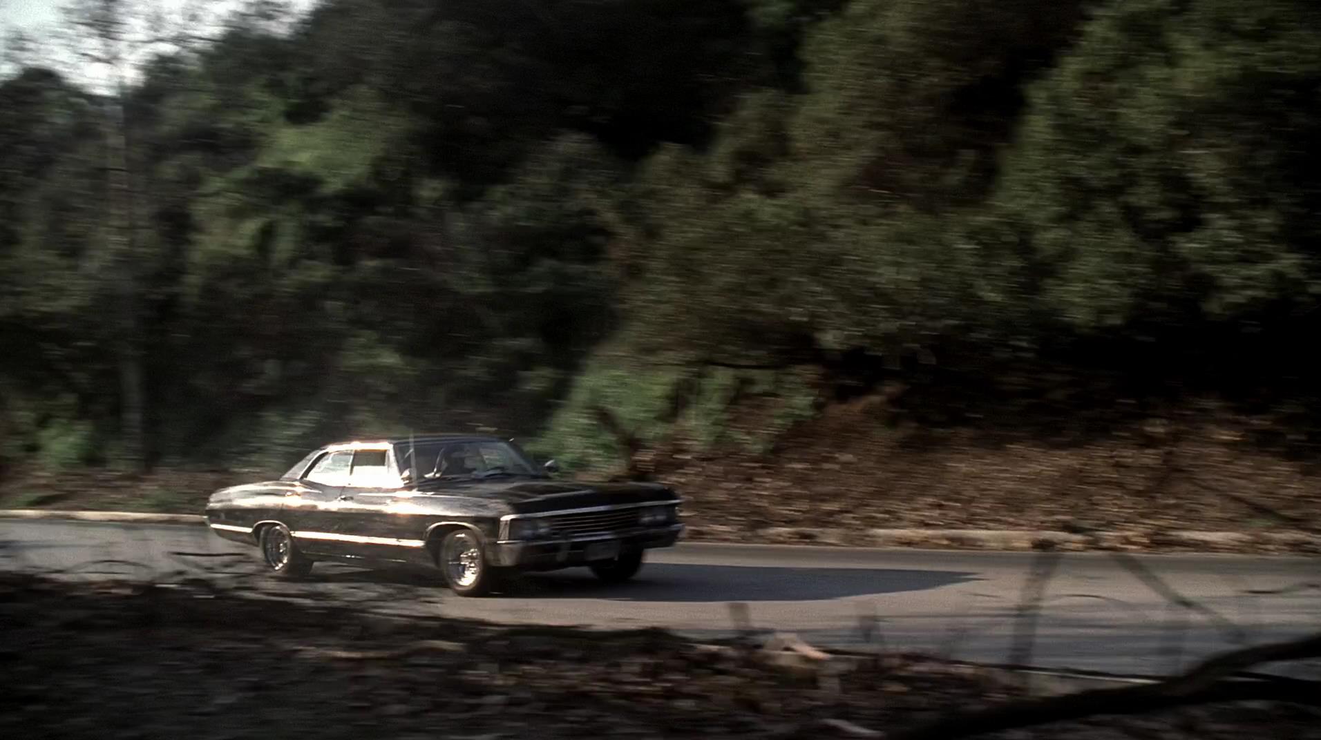 SPN_2284.jpg