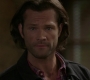 Filename=SPN_0208.jpg
Filesize=81KiB
Dimensions=1912x1072
Date added=Oct 01, 2021 SPN_0208.jpg