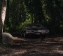 SPN_1252.jpg